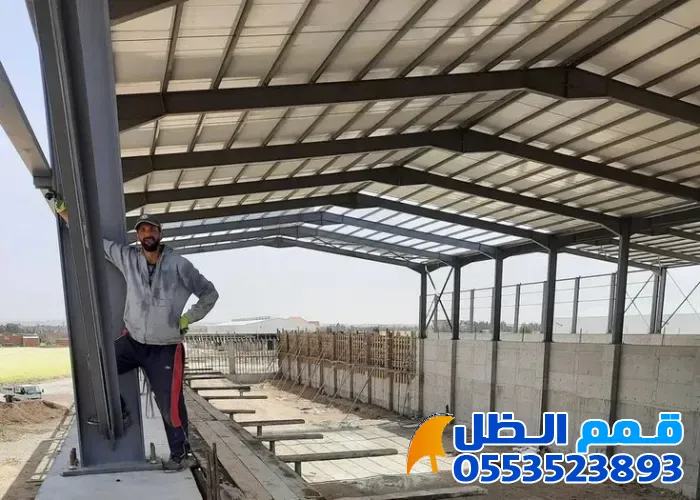 صورة المقال