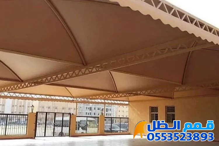 صورة المقال