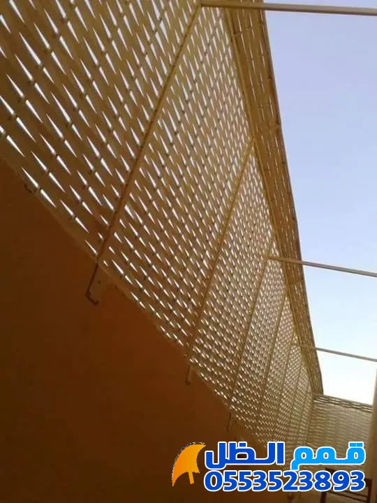 صورة المقال