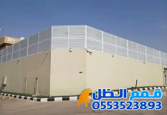 صورة المقال