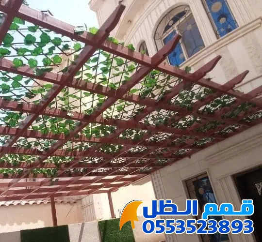 صورة المقال